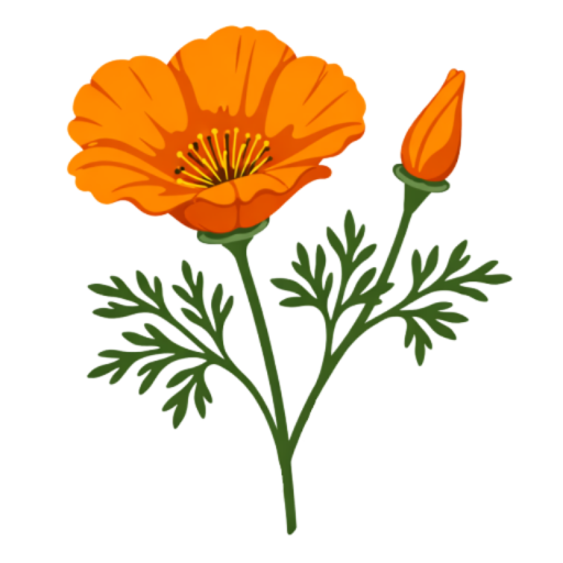 California poppy botanical logo with bright orange bloom, green leaves, and unopened bud